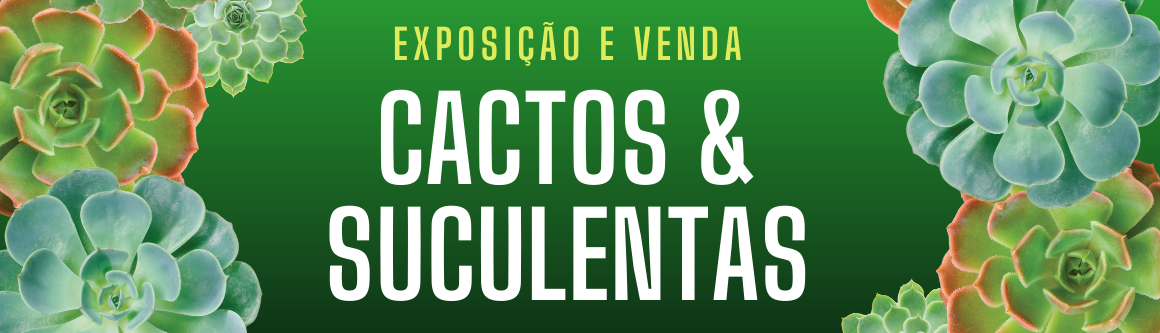 Exposição e Vendas | Cactos e Suculentas